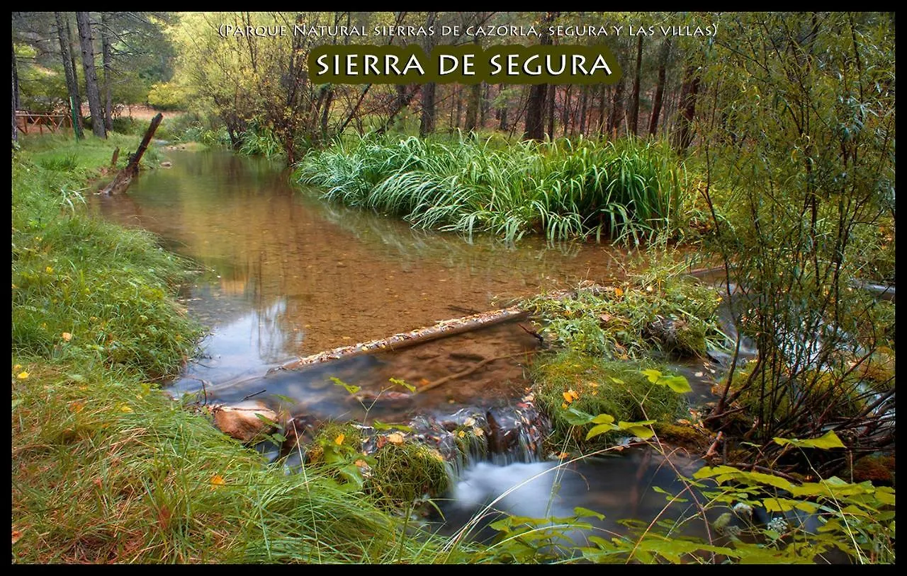 La Vieja Parra Guest House La Puerta de Segura Country house